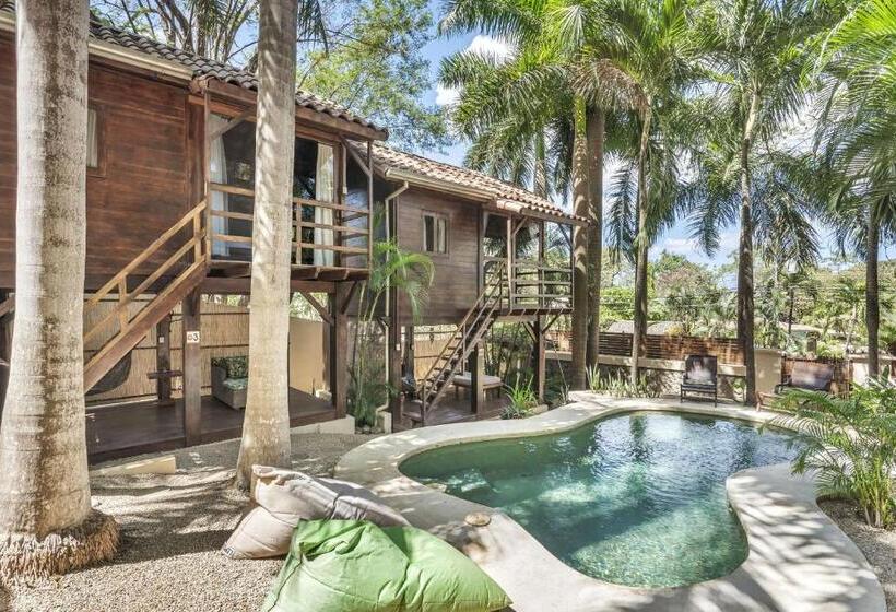 스탠다드 방갈로, The Beach Bungalows   Yoga And Surf House   Adults Only