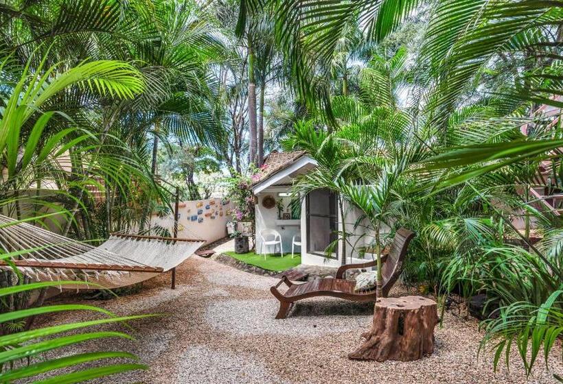 싱글 기본룸, The Beach Bungalows   Yoga And Surf House   Adults Only