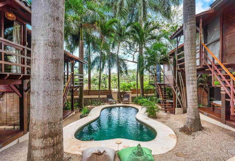 Одноместный Номер Basic, The Beach Bungalows   Yoga And Surf House   Adults Only