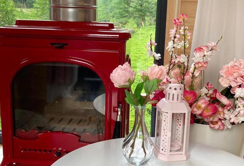 스탠다드 룸, Vagona Tiny House