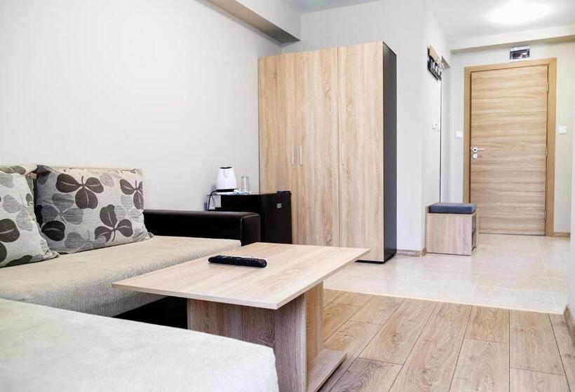标准工作室带阳台, Family Hotel   City Hotel Yambol