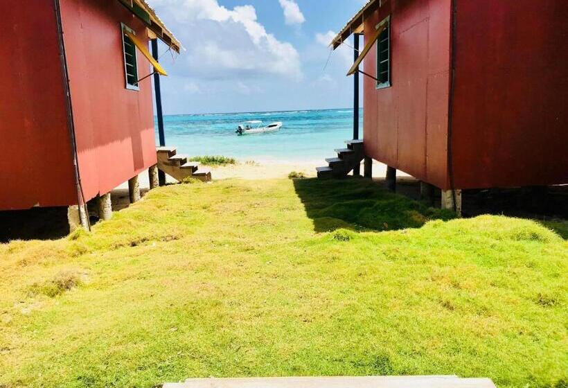 اتاق استاندارد, Sunrise Paradise/carlito´s Place
