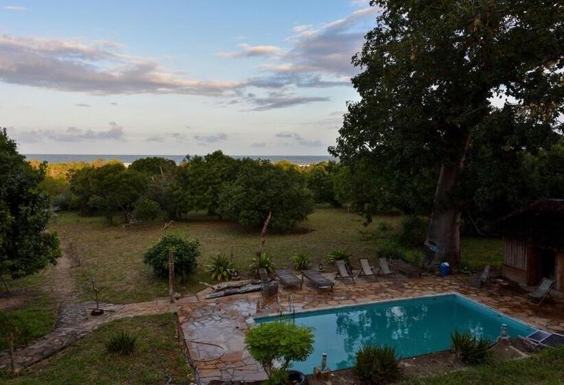چادر با خدمات رفاهی لوکس, Bahari Pori Resort