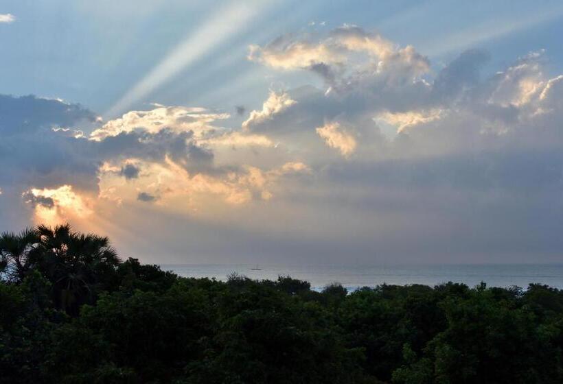 خانه 1 خوابه, Bahari Pori Resort