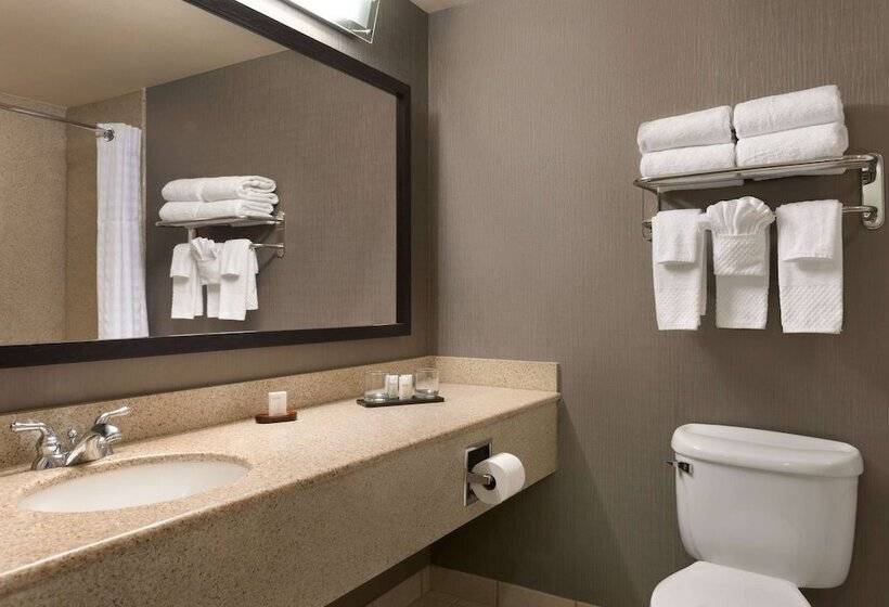 套房, Embassy Suites By Hilton Nashville South Cool Springs