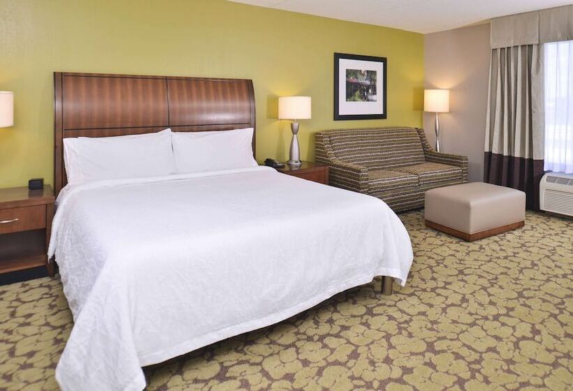 Номер Стандарт Двуспальная Кровать, Hilton Garden Inn Indianapolis/carmel
