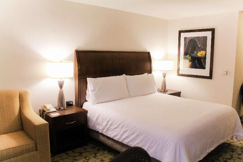 스탠다드 룸 킹사이즈 침대, Hilton Garden Inn Redding
