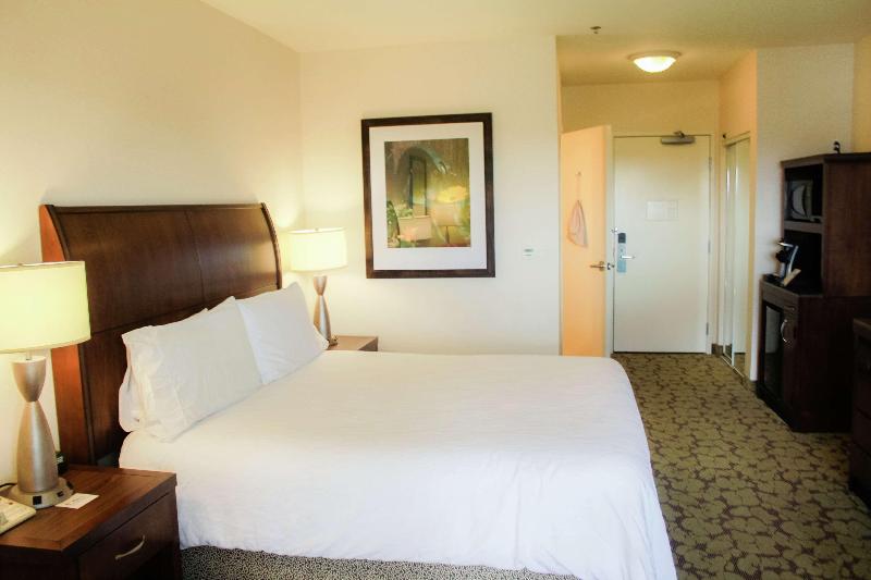 스탠다드 룸 킹사이즈 침대, Hilton Garden Inn Redding