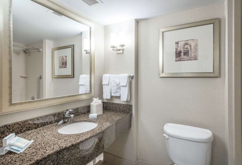 Номер Стандарт 2 Двуспальные Кровати, Hilton Garden Inn Richmond Airport