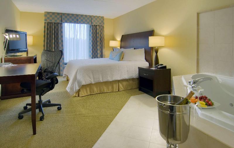 Стандартный Номер Кровать Кинг, Hilton Garden Inn Richmond Airport
