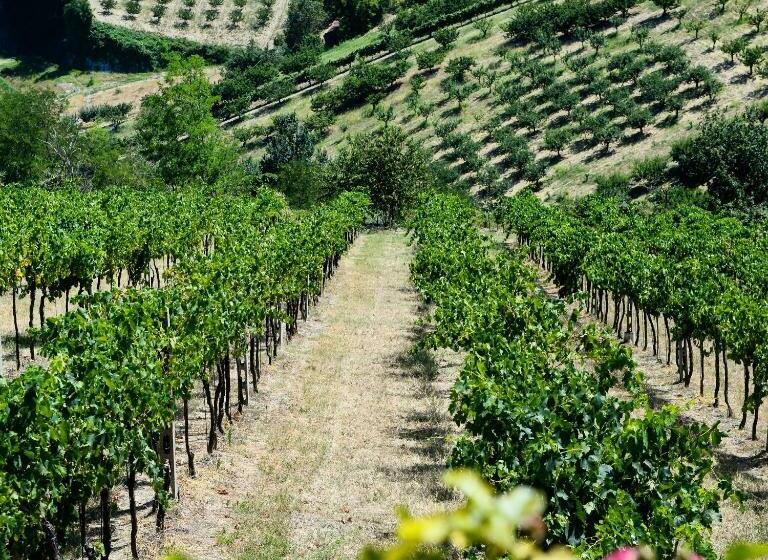 اتاق استاندارد سه نفره, Podere Baratta Agriturismo E Cantina
