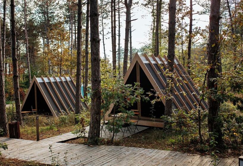 Standard Tent, Longosphere Glamping