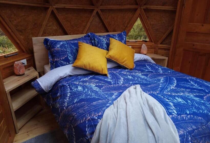 Номер Стандарт, Los Nopales Glamping