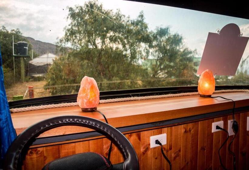Семейный Номер, Los Nopales Glamping