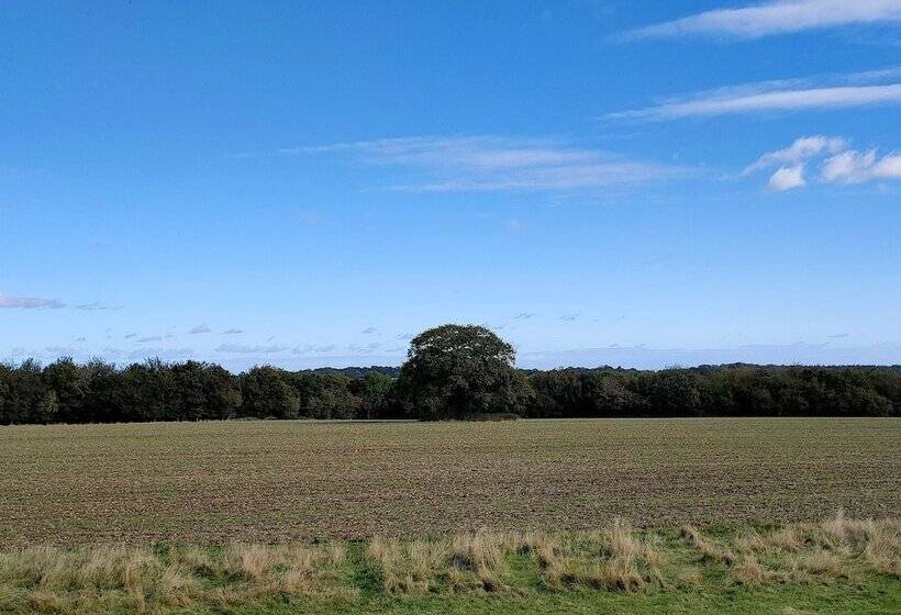 Номер Стандарт, The Chilterns Fox
