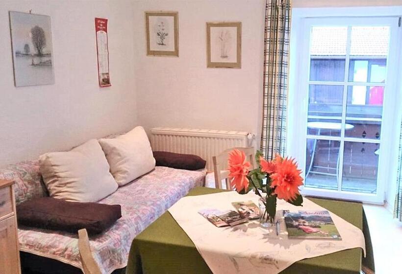 Апартаменты 1 Спальня, Gästehaus Koyerbauer Boardinghouse
