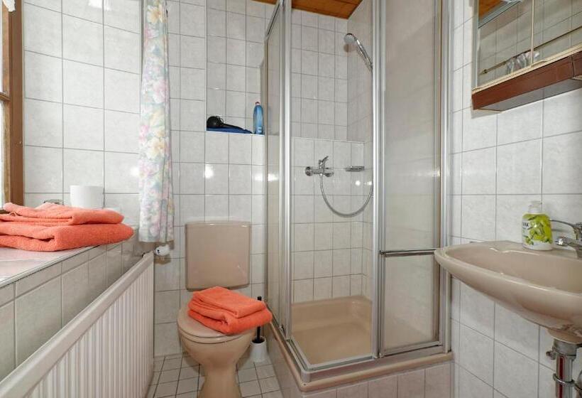 Апартаменты 1 Спальня, Gästehaus Koyerbauer Boardinghouse