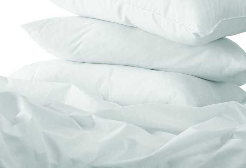 اتاق استاندارد با 2 تخت دوبل, Doubletree By Hilton Pittsburgh Airport