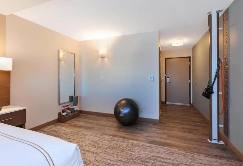 身障者適用キングサイズベッドルーム, Even Hotel Ann Arbor S   University Area, An Ihg
