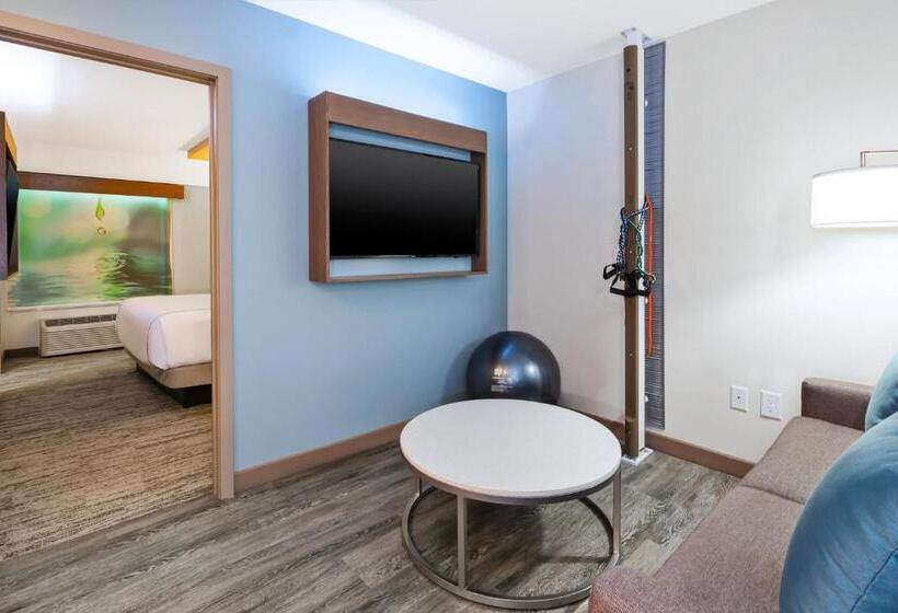 スイート, Even Hotel Ann Arbor S   University Area, An Ihg