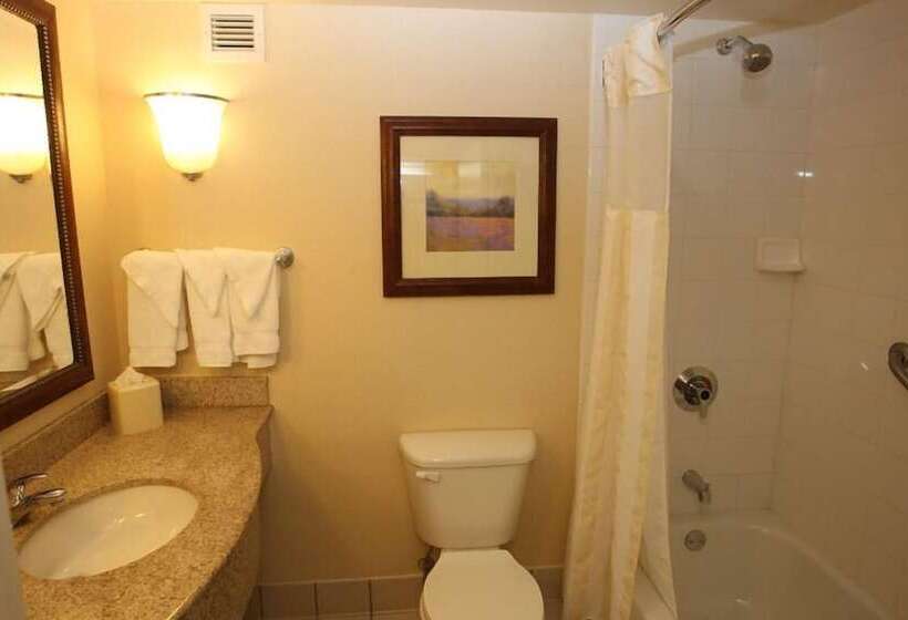 Номер Премиум, Hilton Garden Inn Des Moines/urbandale