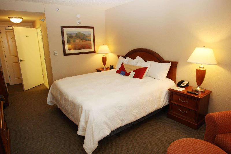 Стандартный Номер Кровать Кинг, Hilton Garden Inn Des Moines/urbandale
