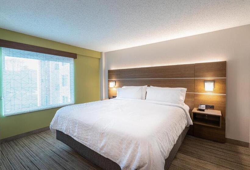 سوئیت با تخت بزرگ, Holiday Inn Express & Suites Asheville Downtown, An Ihg