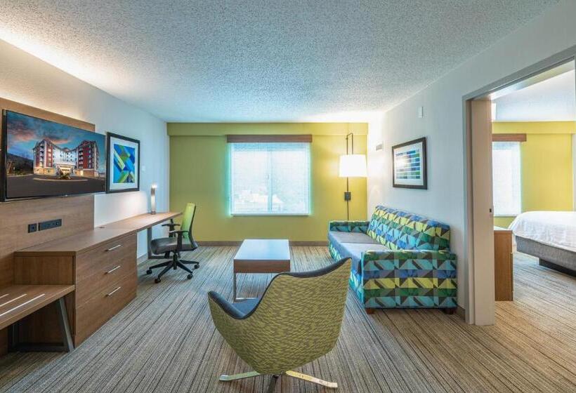 سوئیت با تخت بزرگ, Holiday Inn Express & Suites Asheville Downtown, An Ihg