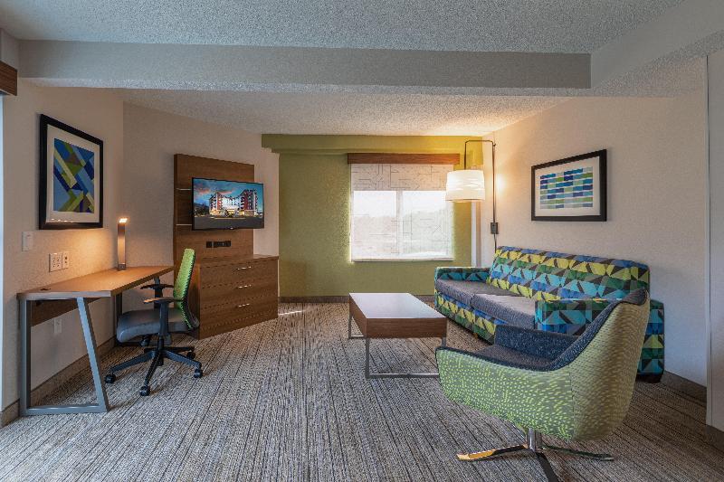سوئیت اجرایی با تخت کینگ, Holiday Inn Express & Suites Asheville Downtown, An Ihg
