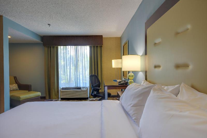 Стандартный Номер Кровать Кинг, Holiday Inn Express & Suites Sylva / Dillsboro, An Ihg