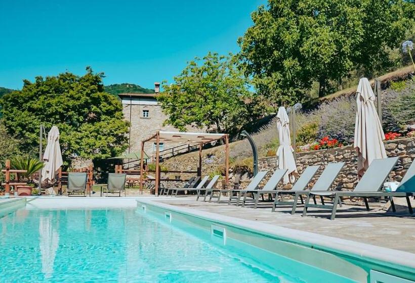 Апартаменты 2 Спальни, Agriturismo Casa Turchetti