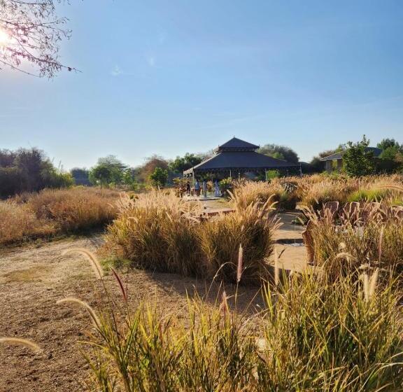 Четырехместный Номер Стандарт, Jawai Leopard Safari Lodge