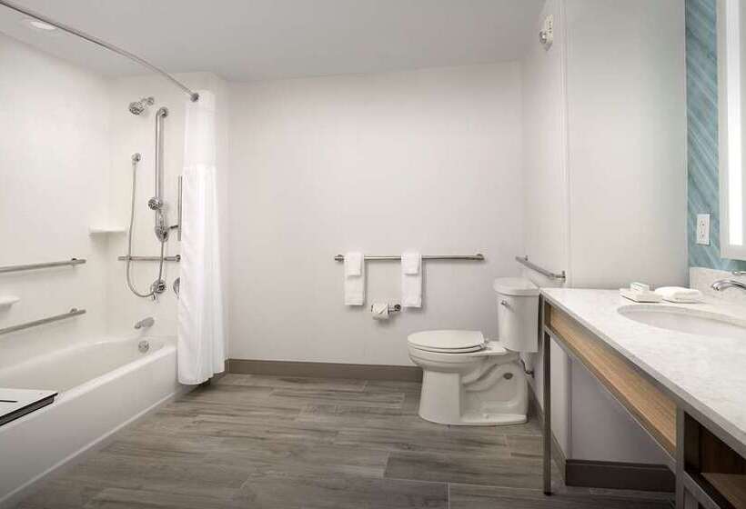 اتاق لوکس با تخت بزرگ, Hilton Richmond Downtown