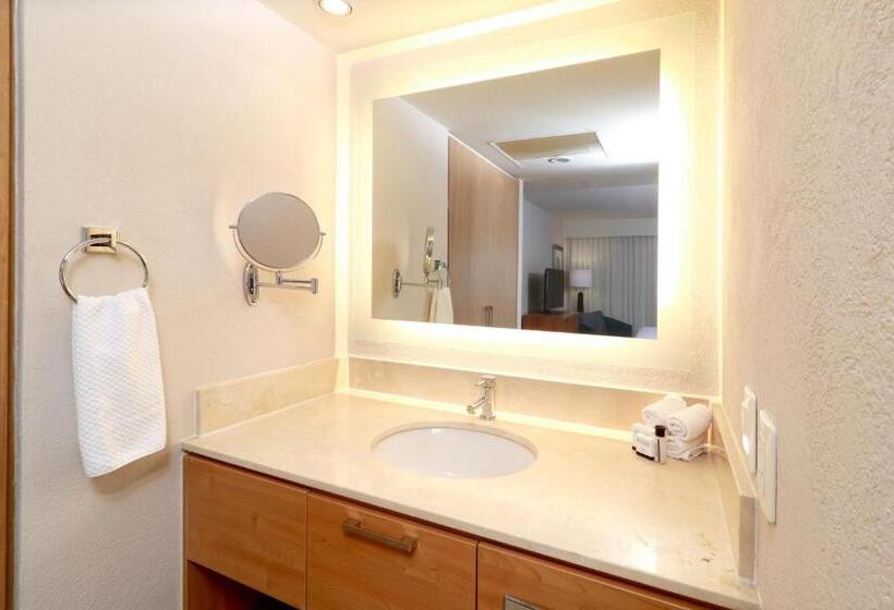 سوئیت با تخت بزرگ, Staybridge Suites Guadalajara Expo, An Ihg