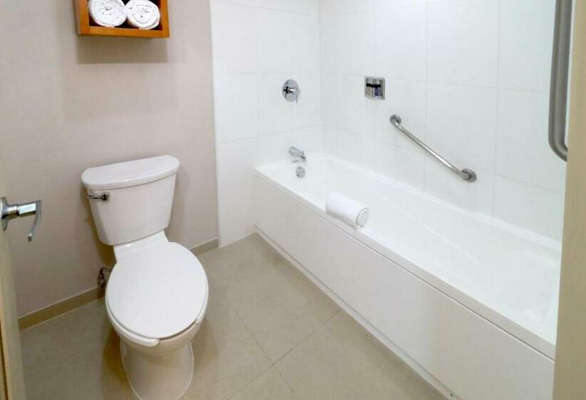 سوییت, Staybridge Suites Guadalajara Expo, An Ihg