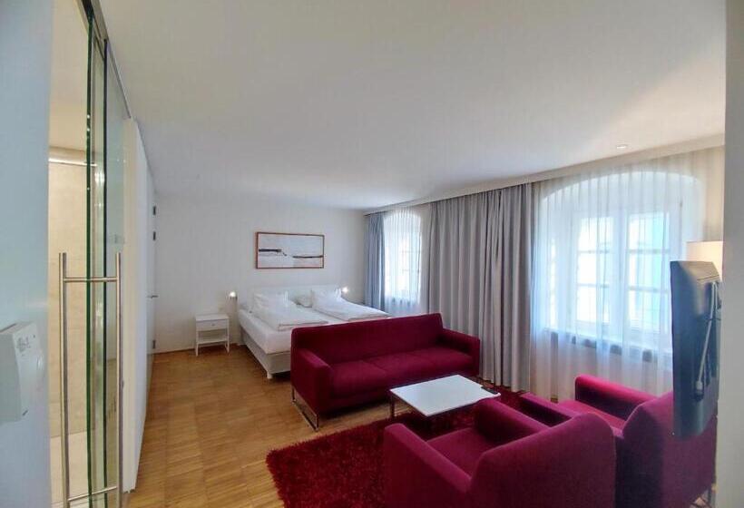 آپارتمان سوپریور 1 خوابه, Am Domplatz   Adult Only