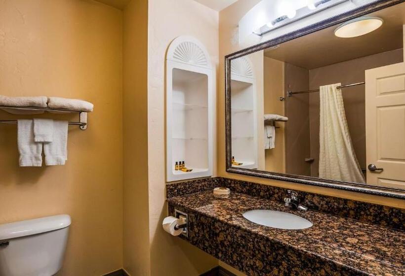 اتاق استاندارد, Best Western Plus Barsana Hotel & Suites