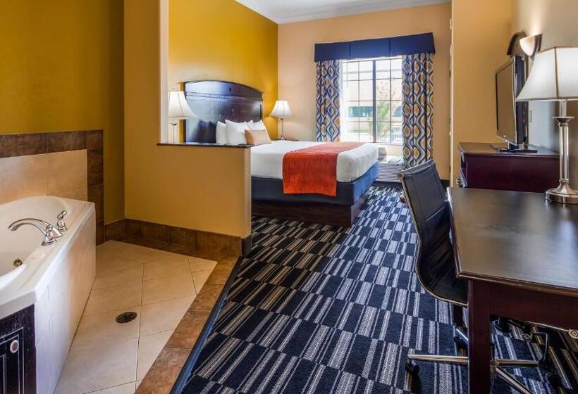 اتاق استاندارد با تخت بزرگ برای معلولان, Best Western Plus Barsana Hotel & Suites