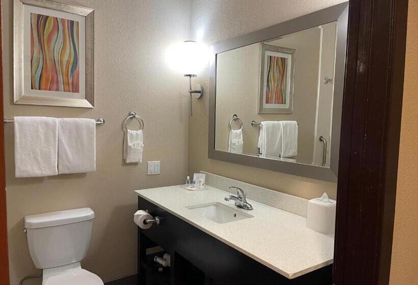 スイート, Comfort Suites Houston West At Clay Road