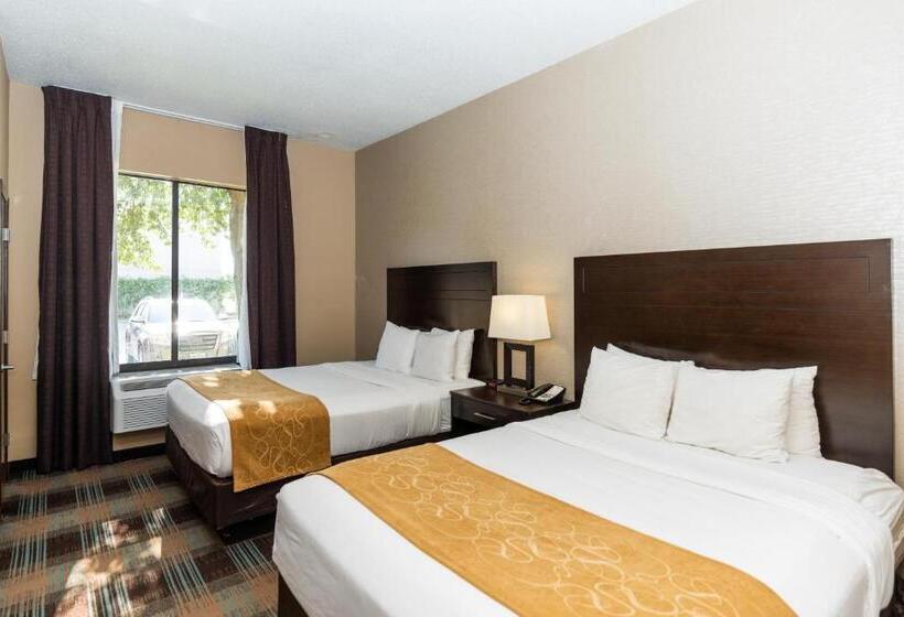 スイート, Comfort Suites Houston West At Clay Road