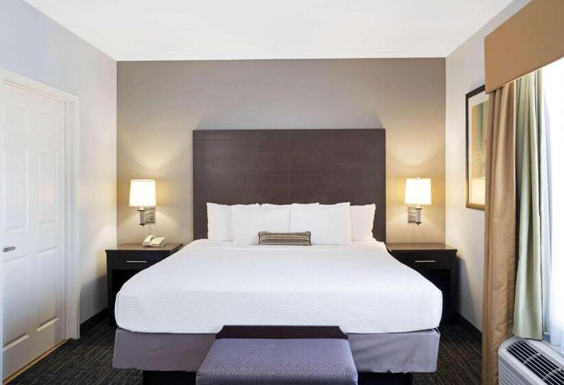 キングサイズベッドのスタンダードルーム, Sonesta Essential Houston Westchase