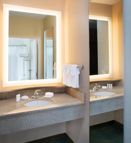 带大床的标准工作室, Springhill Suites By Marriott Annapolis