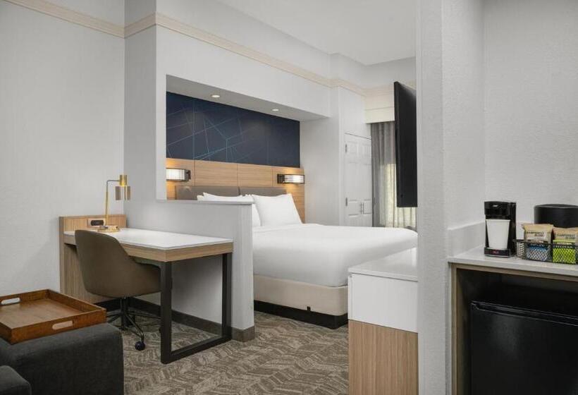 带大床的标准工作室, Springhill Suites By Marriott Annapolis
