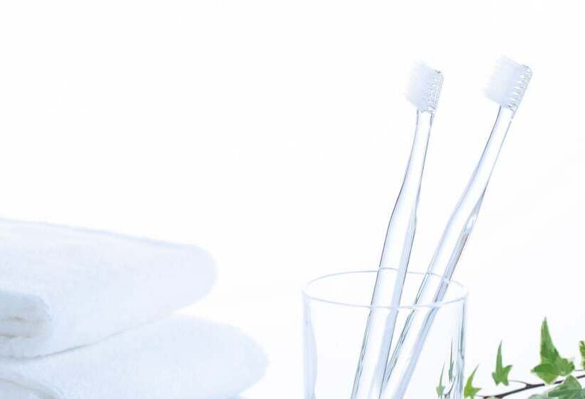 Номер Стандарт, Comfort Hotel Niigata