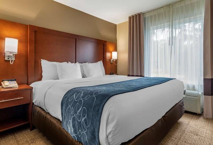 Люкс, Comfort Suites Niceville Near Eglin Air Force Base
