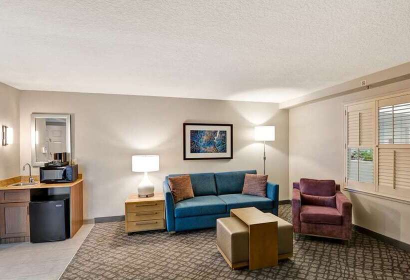سوئیت با تخت بزرگ, Embassy Suites By Hilton Raleigh Durham Airport Brier Creek