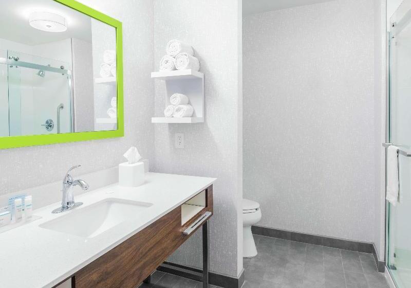 סטודיו סטנדרט, מיטה זוגית, Hampton Inn & Suites Lubbock Southwest