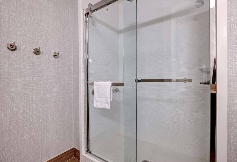 استودیوی استاندارد با تخت دوبل, Hampton Inn & Suites Galveston