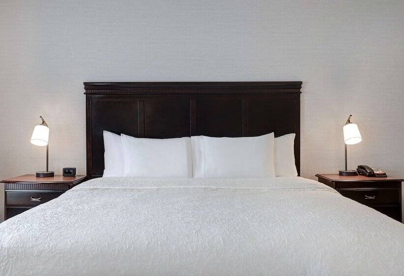 استودیوی استاندارد با تخت دوبل, Hampton Inn & Suites Galveston