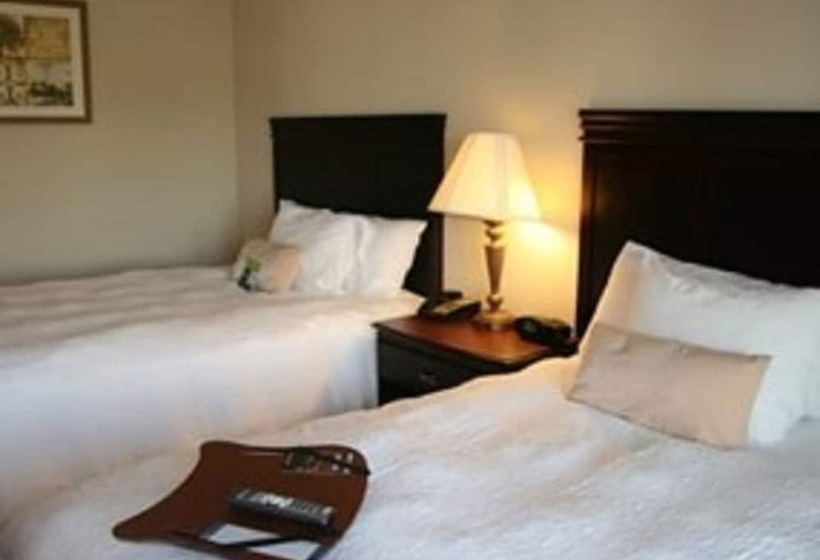 Номер Стандарт 2 Двуспальные Кровати, Hampton Inn & Suites Galveston
